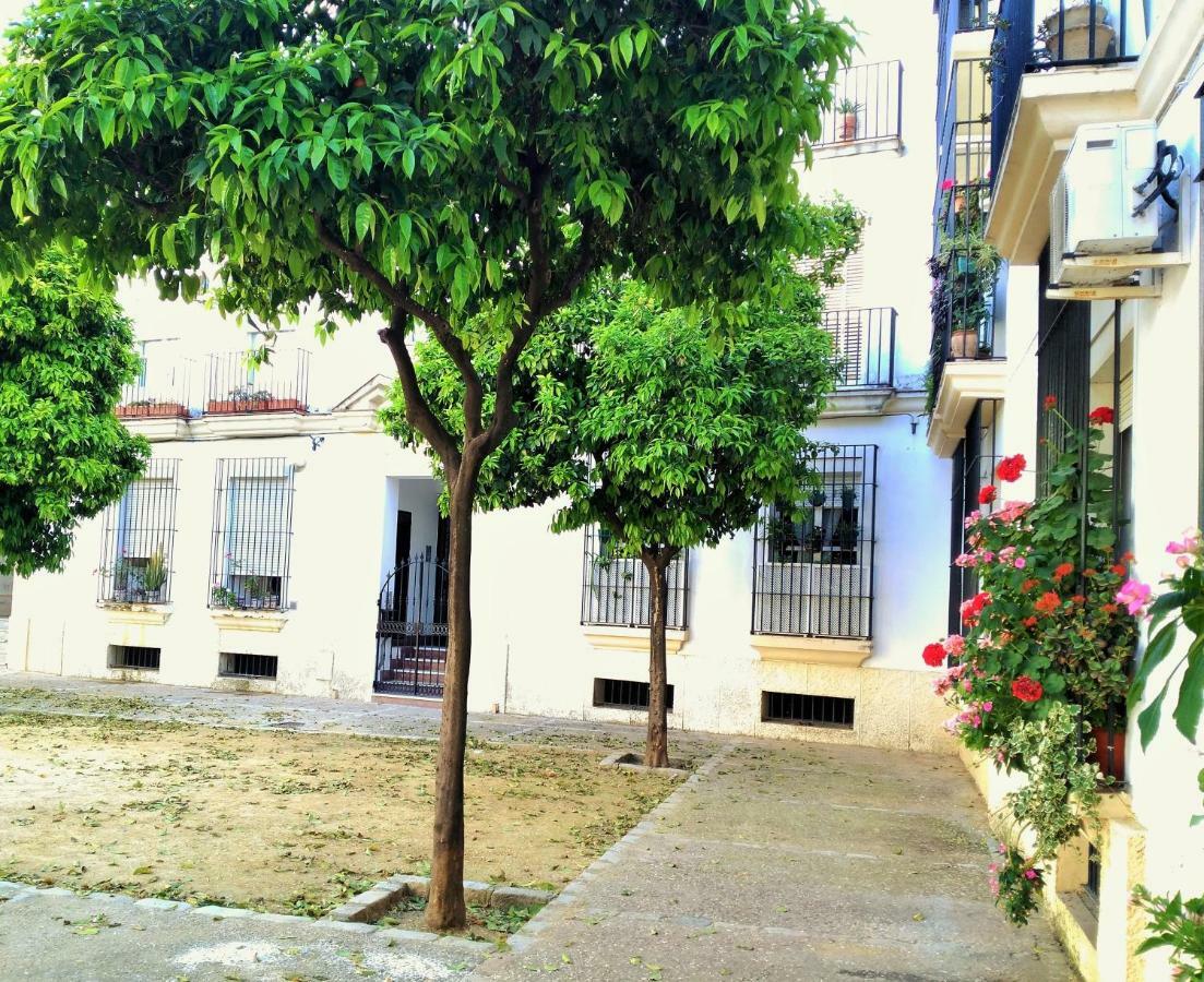 Apartamento Plaza Compania Jerez Херес де ла Фронтера Екстериор снимка