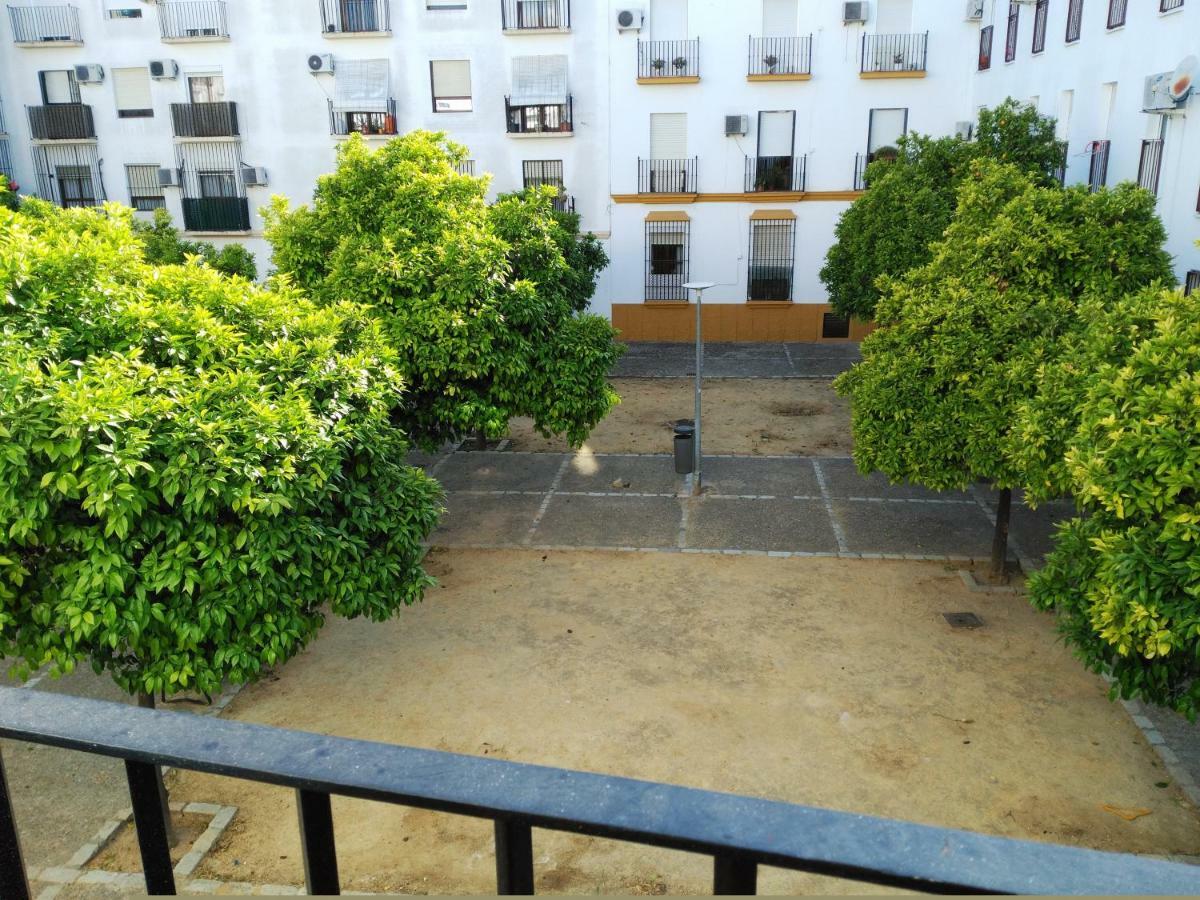 Apartamento Plaza Compania Jerez Херес де ла Фронтера Екстериор снимка