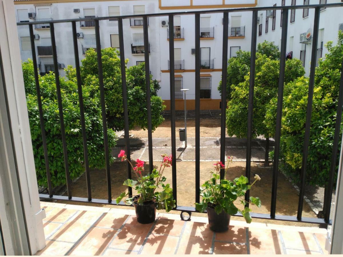 Apartamento Plaza Compania Jerez Херес де ла Фронтера Екстериор снимка
